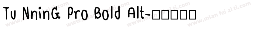 Tu NninG Pro Bold Alt字体转换